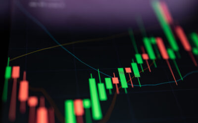 Investment Review and Outlook – January 2026